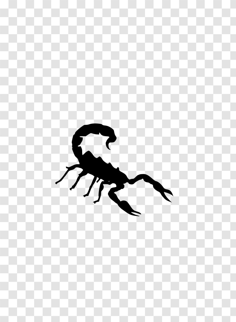 Scorpion Clip Art - Black - Silhoutte Transparent PNG