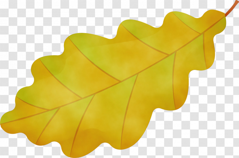 Leaf Yellow M-tree Tree Biology Transparent PNG