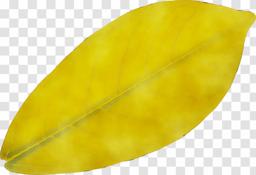 Leaf - Tree - Plant Transparent PNG