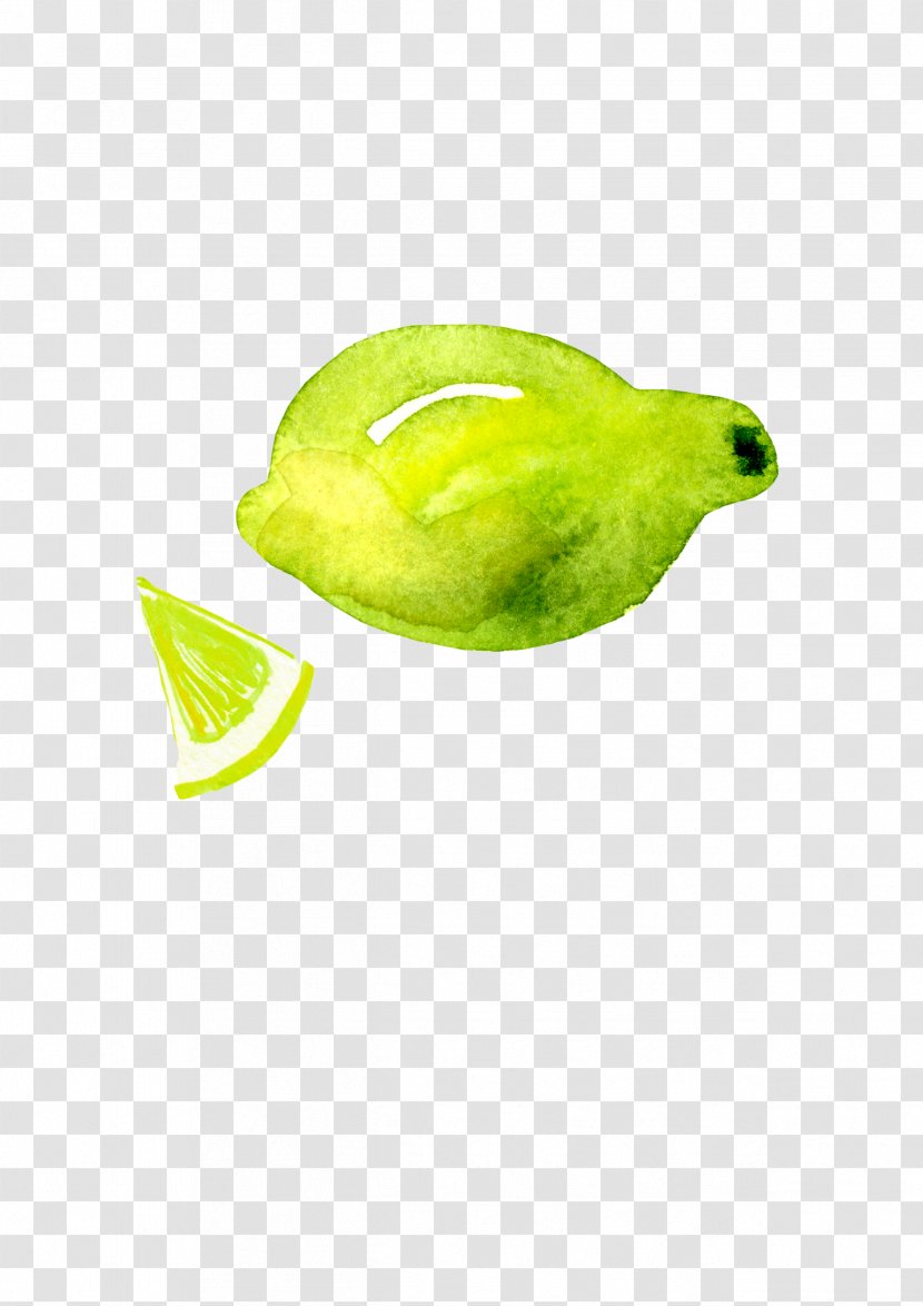 Lime Lemon Google Images - Painted Transparent PNG