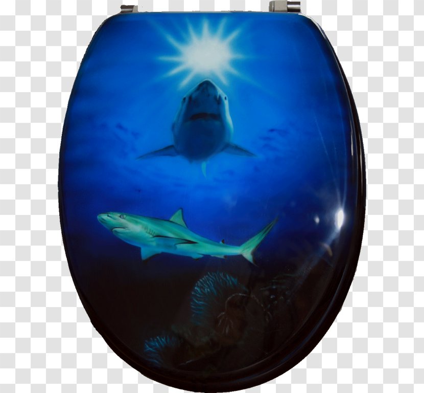 Marine Mammal Toilet & Bidet Seats Biology Cobalt Blue Transparent PNG