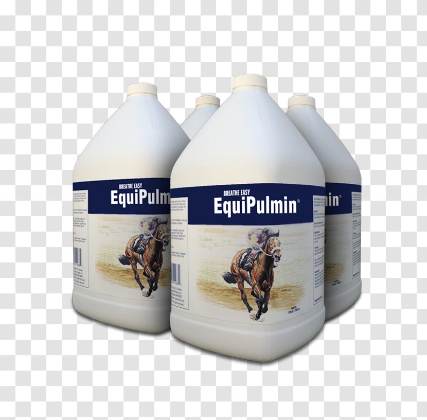 Horse Racing Imperial Gallon Equestrian - Witch Hazel Transparent PNG