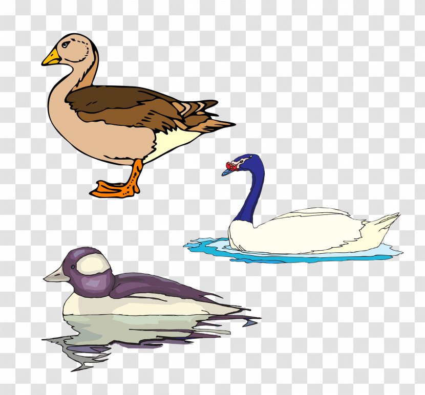 Big And Small Animals Clip Art - Funny Animal - Swan Ducks Biotechnology Transparent PNG