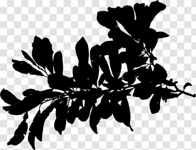 Plant Stem Silhouette Leaf Font Black - Flower - Monochrome Transparent PNG