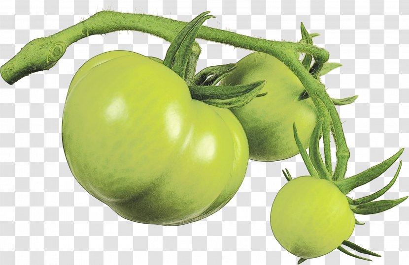 Tomato Cartoon - Plum - Flower Vegetarian Food Transparent PNG