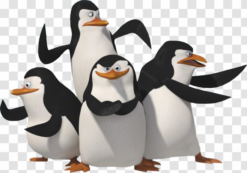 Skipper Penguin Madagascar Clip Art Transparent PNG