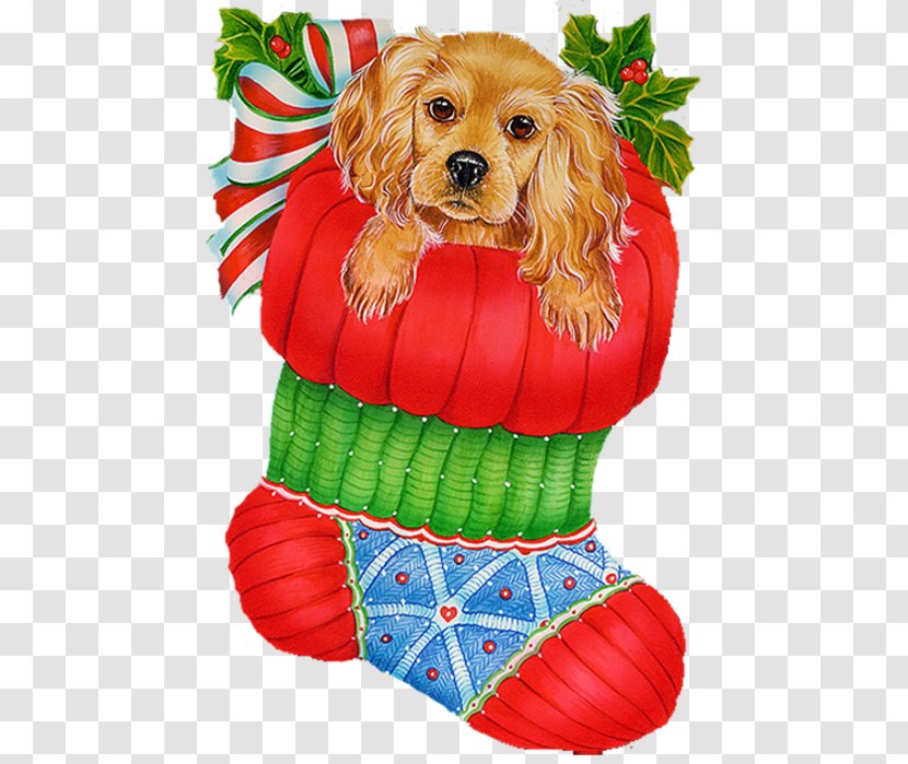 Christmas Stockings Gift - Dog Like Mammal Transparent PNG