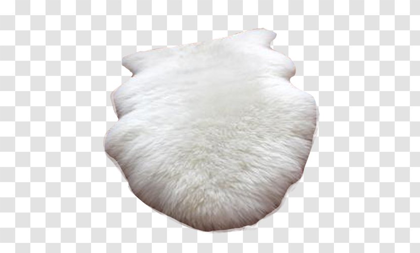 Carpet Blanket - Snout - Fluffy Transparent PNG