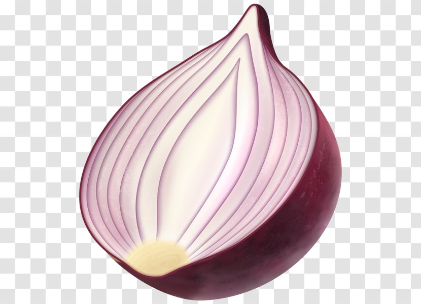 Red Onion French Soup Clip Art - Onions Transparent PNG