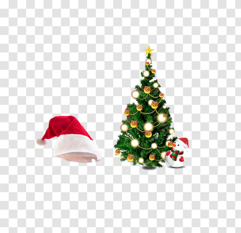 Papua New Guinea Christmas Tree Gift - Holiday Ornament - Hat Transparent PNG