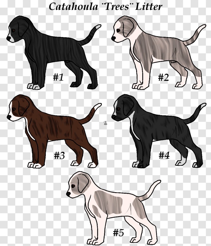 Dog Breed Great Dane Sporting Group Retriever Crossbreed - Catahoula Transparent PNG