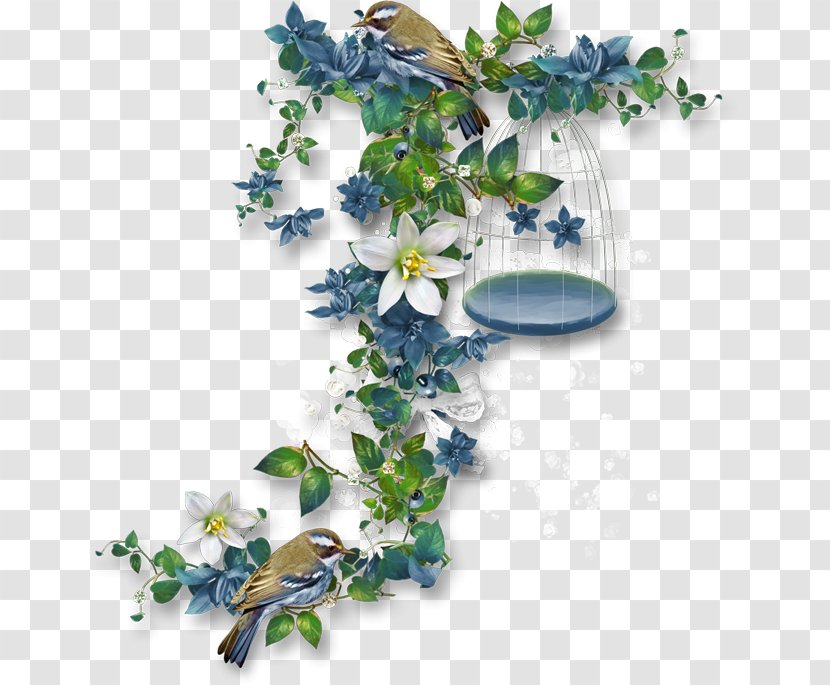 Bird Clip Art - Branch Transparent PNG