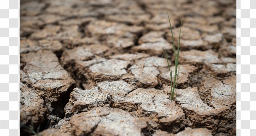Drought Soil Heat Wave Summer Steppe Transparent PNG