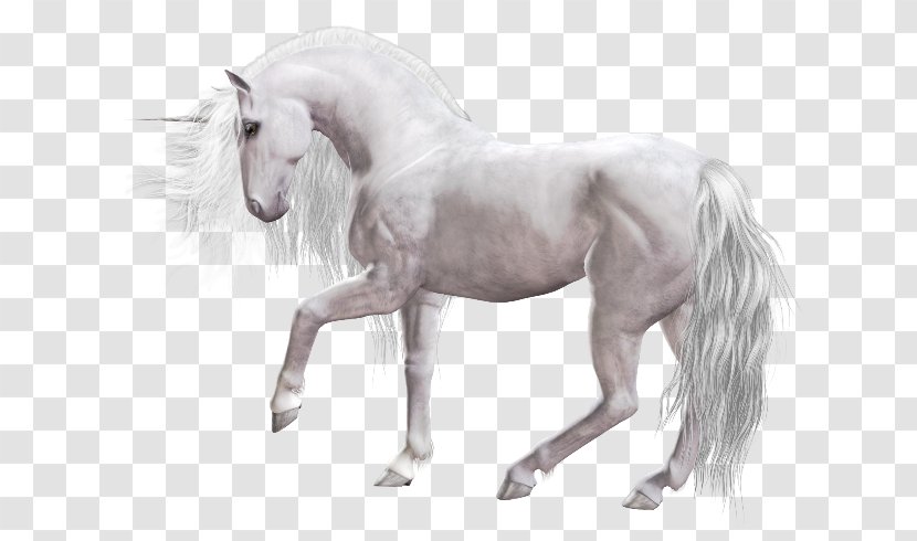 Unicorn Pony Mane Mustang Clip Art - Mythical Creature Transparent PNG