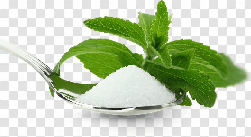 Stevia Health Steviol Glycoside Candyleaf Sugar Substitute - Sucrose Transparent PNG