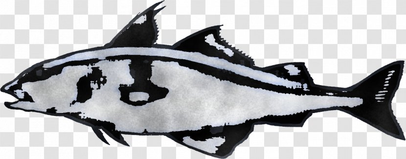 Fish Fin Transparent PNG