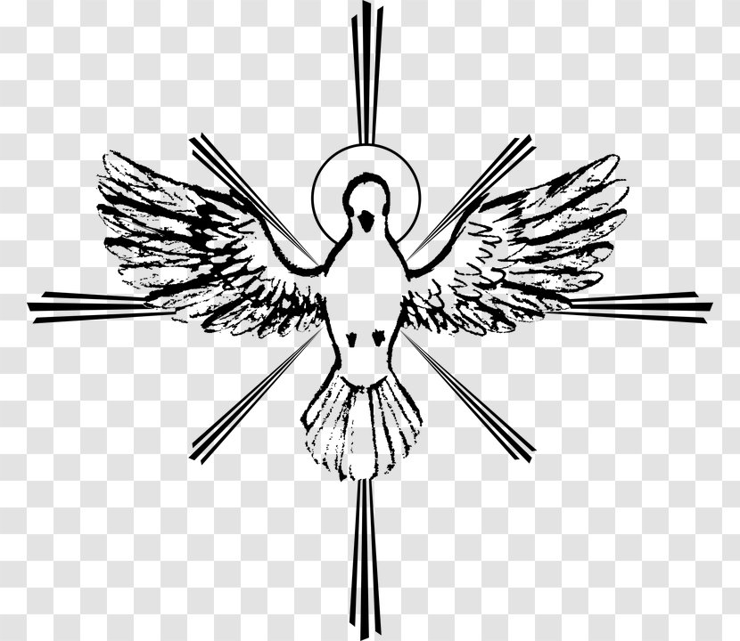 Holy Spirit God Doves As Symbols Confirmation - Black And White Transparent PNG