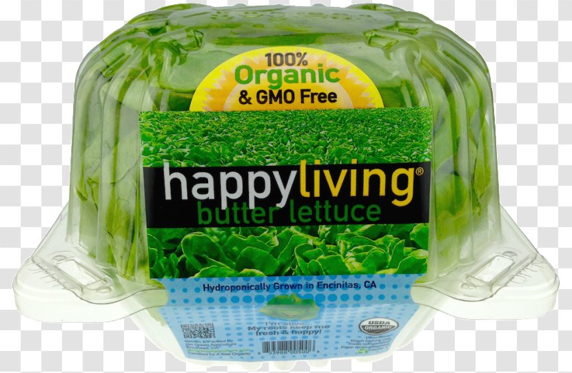 Organic Food Leaf Vegetable Lettuce Milk Grocery Store - Grass - Butterhead Transparent PNG
