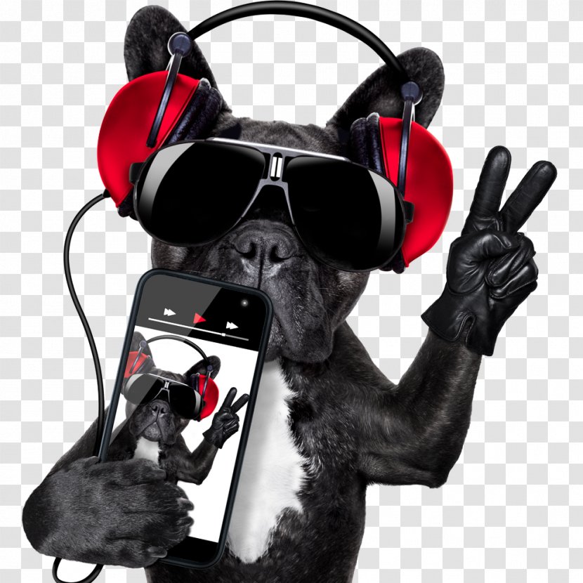 Dog Microphone Disc Jockey Stock Photography - Tree - Holding A Cell Phone Transparent PNG
