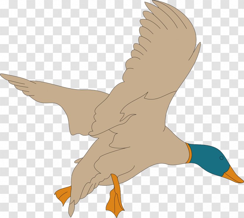 American Pekin Great Notley Parish Council Mallard Duck Clip Art - Free Content - Flying Swan Transparent PNG