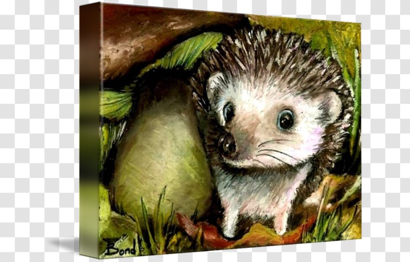 Domesticated Hedgehog Common Opossum Porcupine Gallery Wrap - Domestication Transparent PNG