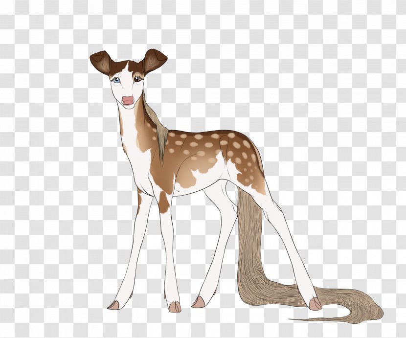 Deer Italian Greyhound Springbok Wildlife Transparent PNG