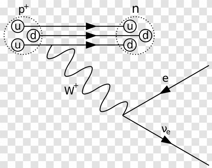 Feynman Diagram Beta Decay Physics Particle - Heart - Caries Transparent PNG