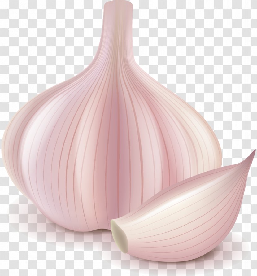 Garlic Ingredient Food Shallot - Gratis Transparent PNG