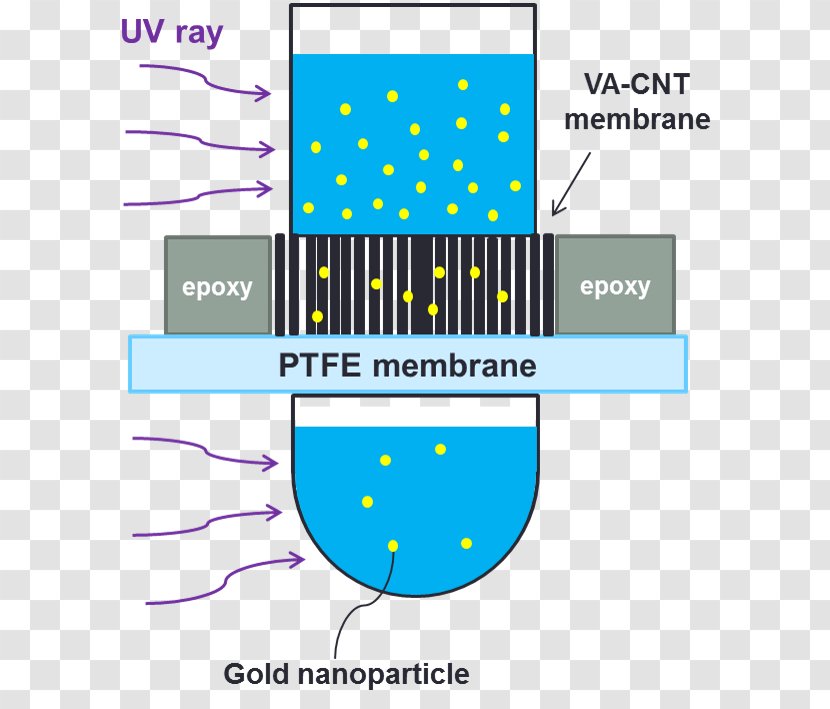 Carbon Nanotube Chemical Vapor Deposition Logo Brand - Area Transparent PNG