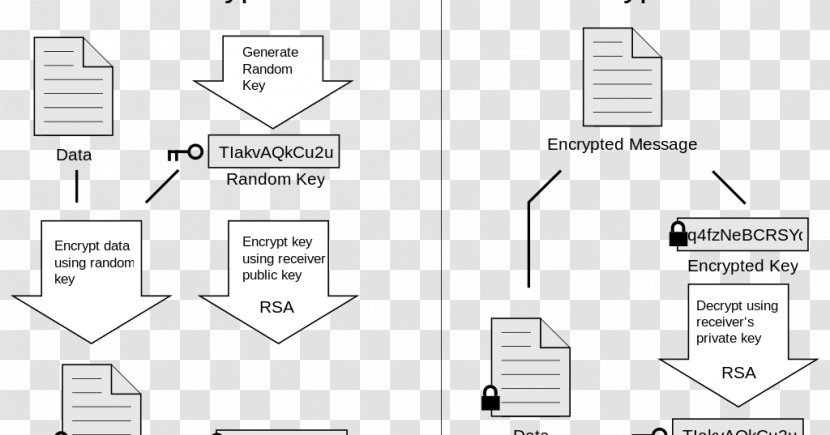 Pretty Good Privacy End-to-end Encryption GNU Guard Cryptography - Email - Key Transparent PNG