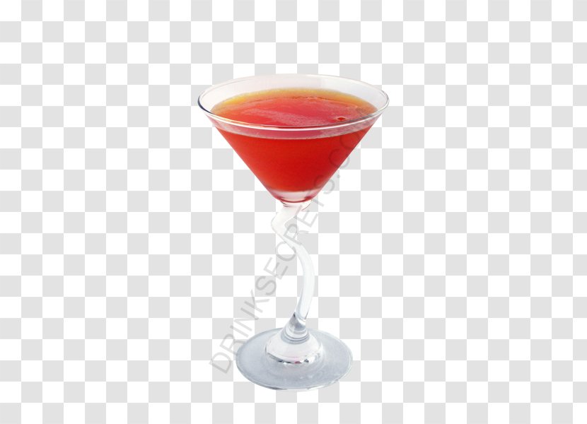 Cocktail Garnish Vodka Martini Manhattan - Glass - Pink Squirrel Transparent PNG
