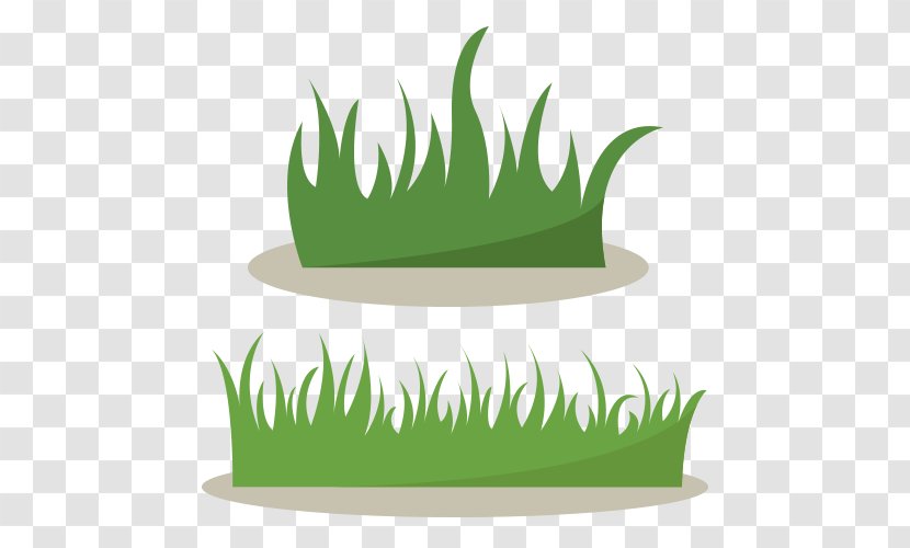 Drawing Shrub - Plant - Green Grass Transparent PNG