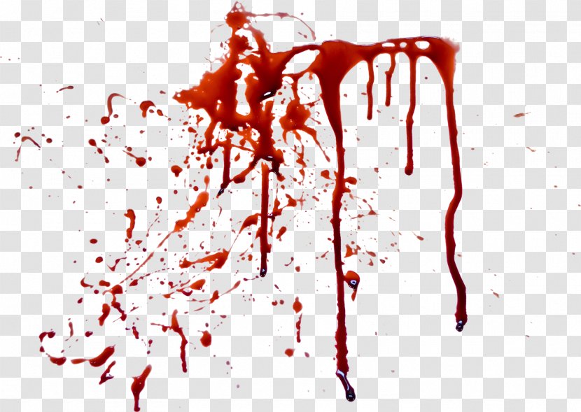 Blood Clip Art - Plasma - Splatter Transparent PNG