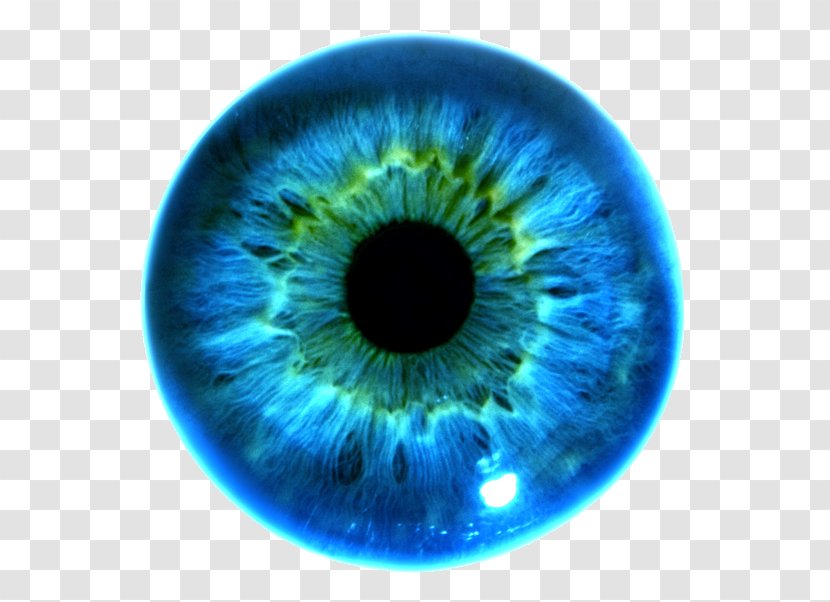 Iris Recognition Eye Color Pupil - Frame - Hi Res Transparent PNG