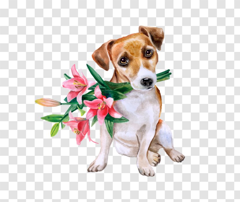 Jack Russell Terrier Flower Bouquet Beagle Floral Design - Danish Swedish Farmdog Transparent PNG