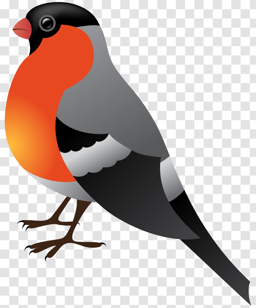 Bird Winter Clip Art - Transparent Transparent PNG