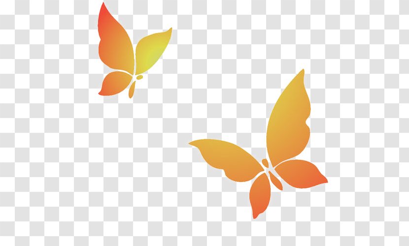 Butterfly Illustration - Yellow Transparent PNG