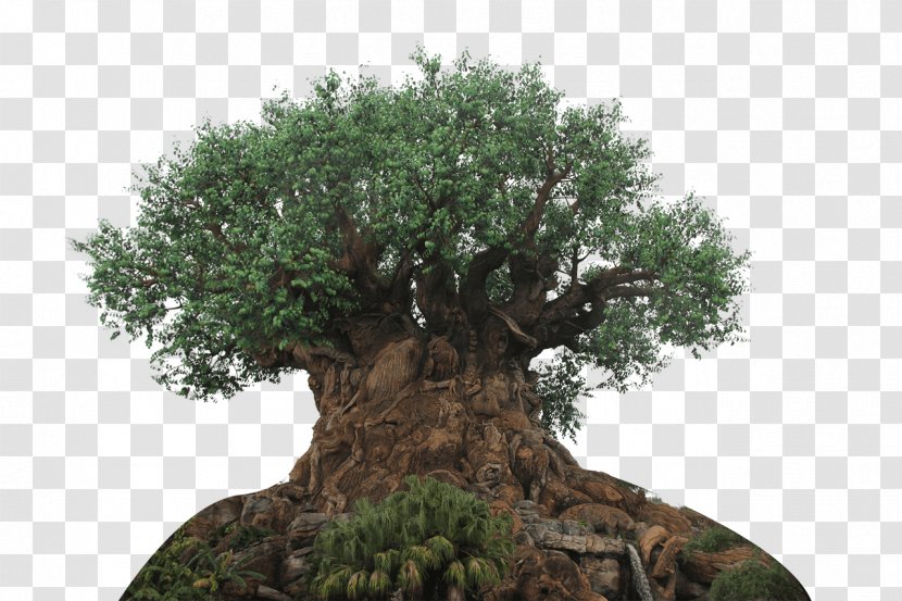 The Tree Of Life Expedition Everest Disney's Hollywood Studios Twilight Zone Tower Terror Discovery Island - Animal Kingdom Transparent PNG