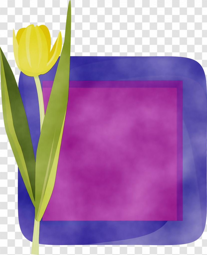 Lavender Transparent PNG