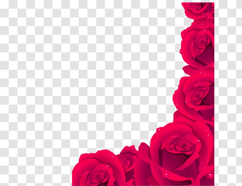 Rose Royalty-free Clip Art - Flower Arranging - Red Fresh Bones Border Texture Transparent PNG