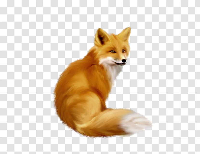 Clip Art Fox Image Vector Graphics - Tail - Animation Animated Gif Transparent PNG