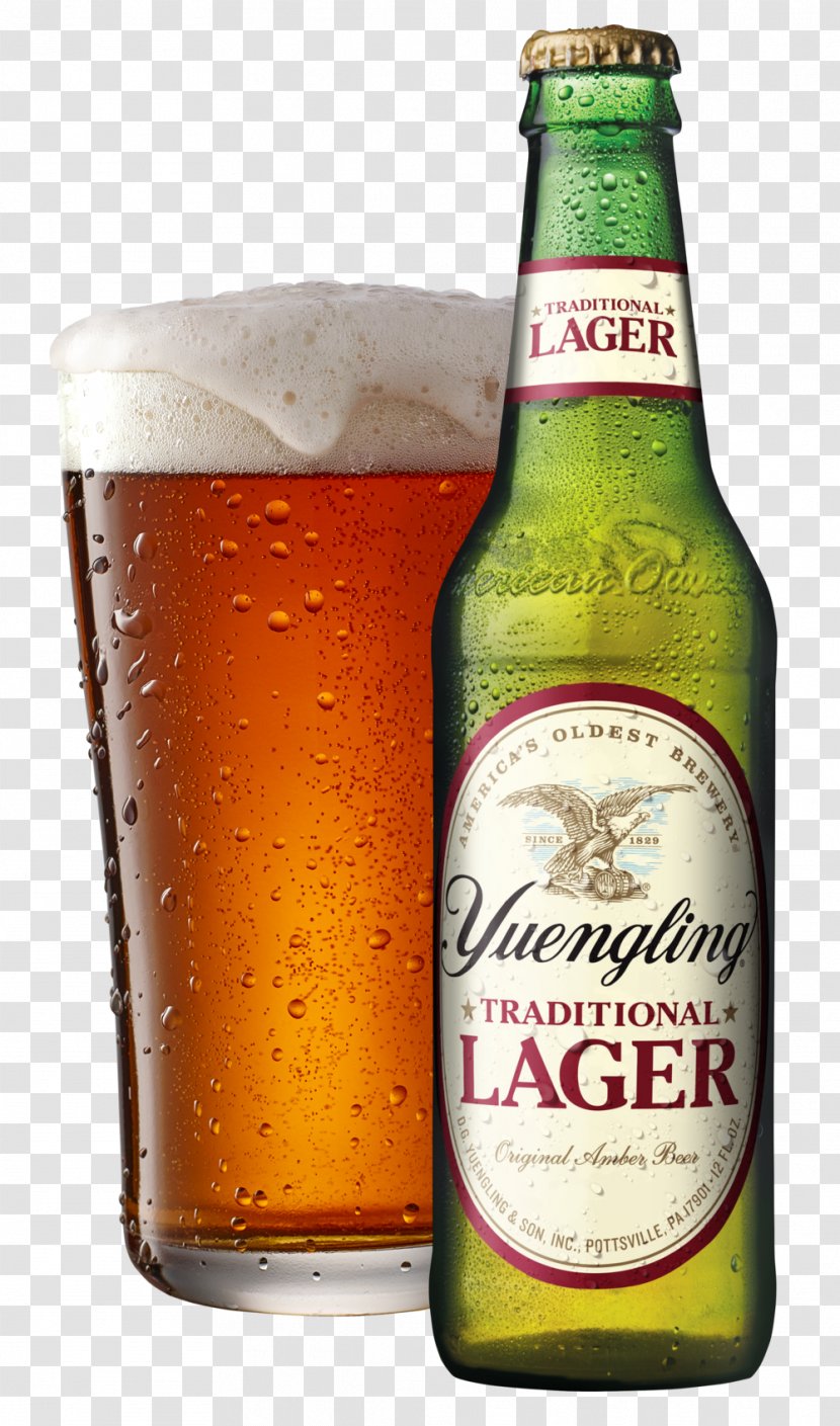 Yuengling Beer Lager Pilsner Brewery - Cocktail Transparent PNG