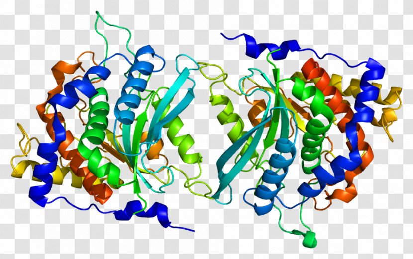 QPCT Glutaminyl-peptide Cyclotransferase Protein Gene Enzyme - Flower - Cartoon Transparent PNG