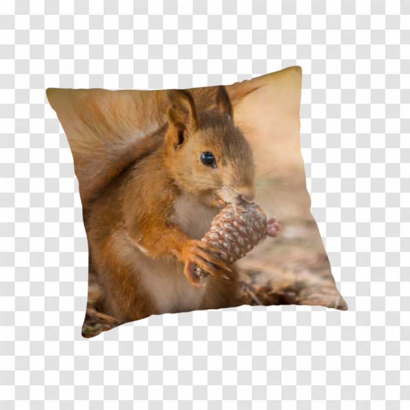 Chipmunk Throw Pillows Cushion Whiskers - Snout - Pillow Transparent PNG