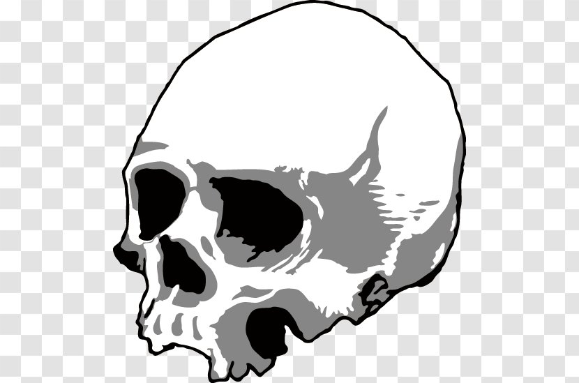 Skull Silhouette Head U9ab7u9ac5 - Color - Black Skeleton Transparent PNG
