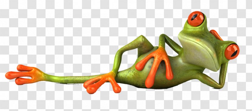Frog Toad Image Stock Illustration Vector Graphics - Humour - Rainette Verte Transparent PNG