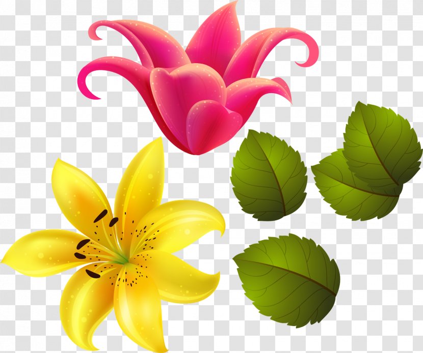 Flower Lilium Gift Floral Design Petal - Birthday - Gulou Vector Transparent PNG