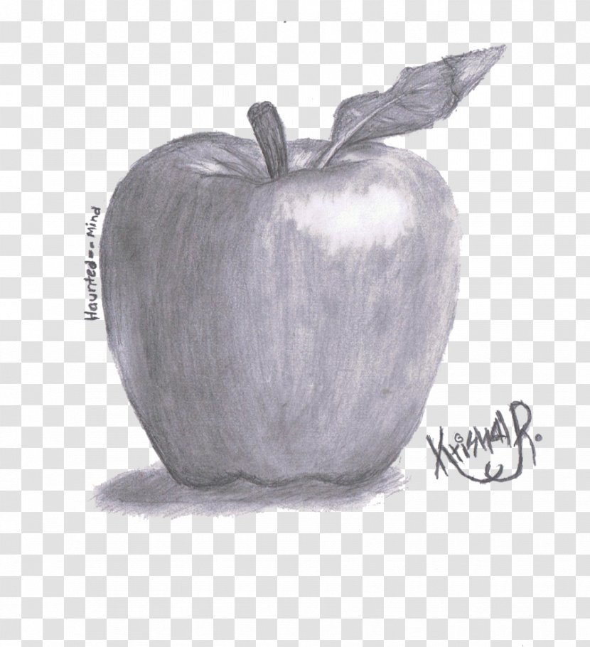 Apple Pencil Drawing Sketch - Shading Vector Transparent PNG