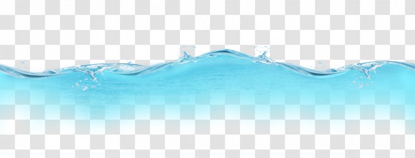 Water Marine Mammal Turquoise Line - Aqua Transparent PNG