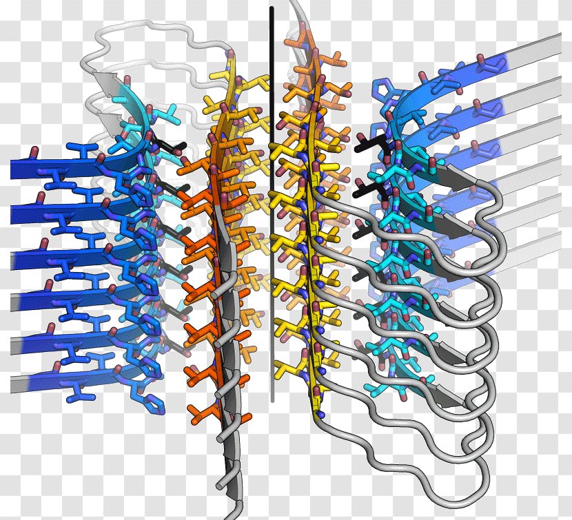 Amyloid Fibril Alpha-synuclein Crystal Structure - Alphasynuclein Transparent PNG